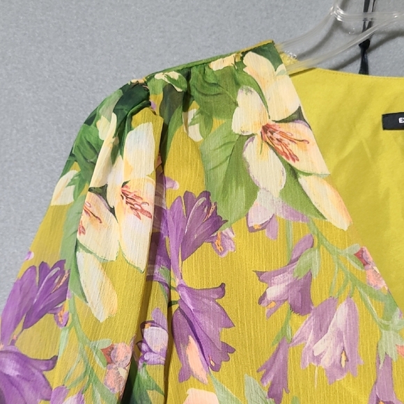 EXPRESS Floral V-Neck Long Sleeve Smocked Cuff Peplum Lined Blouse - Size Medium - Picture 5 of 12